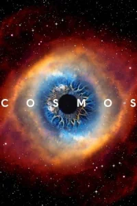 Cosmos: A Spacetime Odyssey (2014)