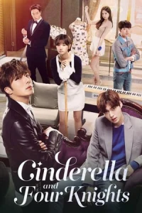 Cinderella and the Four Knights (2016)
