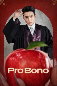 Poster Pro Bono