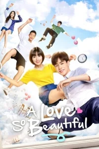 Zhi Wo Men Dan Chun De Xiao Mei Hao (A Love So Beautiful)