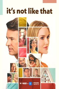 Poster It's Not Like That (2026)