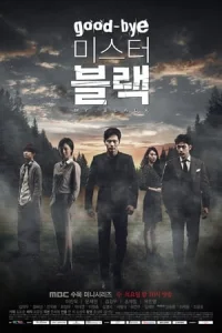 Goodbye Mr. Black (2016)