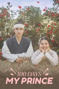 100 Days My Prince (Baekilui Nanggoonnim)
