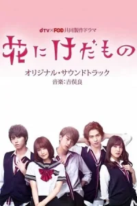 Flower and the Beast (Hana ni Kedamono)