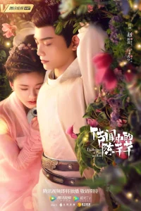 The Romance of Tiger and Rose (2020)