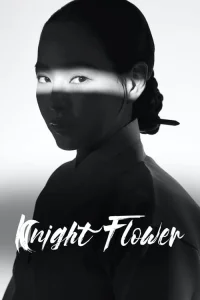 Night Blooming Flower