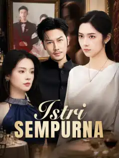 Istri Sempurna