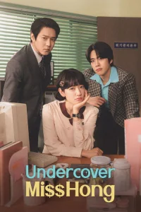 Poster Undercover Miss Hong