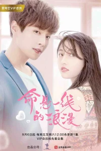 Adventurous Romance (2019)