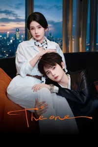 Poster The One (2026)