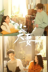 As Husband As Wife (Xiao fu qi)