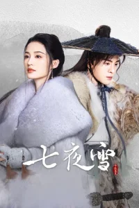 Snowy Night - Timeless Love