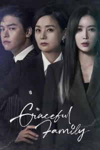 Poster Graceful Family (Wooahan Ga)