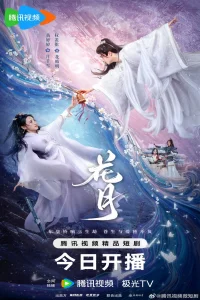 Poster Bloom Once More