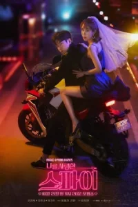 The Spies Who Loved Me (Naleul Saranghan Seupai) (2020)